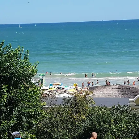 Apartment Mommy's House