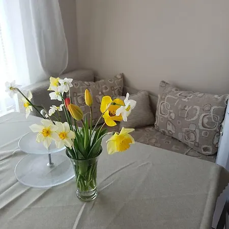 Mommy's House ヴァルナ